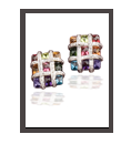 Bellarri Mosaic Collection Earrings